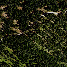 Satellite imagery of Reineck, DE