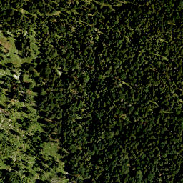 Satellite imagery of Sattmannsberg, DE