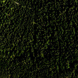 Satellite imagery of Zwölferköpfl, DE