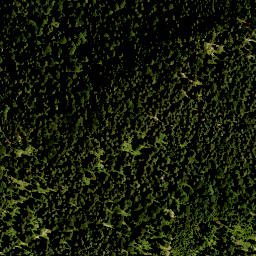 Satellite imagery of Wilfetsberg, DE