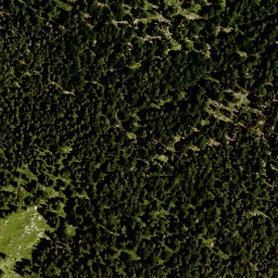 Satellite imagery of Staffel, DE