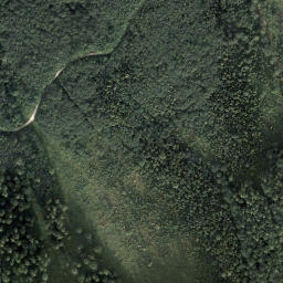 Satellite imagery of Dirndl, AT