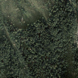 Satellite imagery of Dirndl, AT