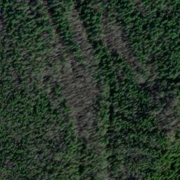 Satellite imagery of Jefferson Ridge, US