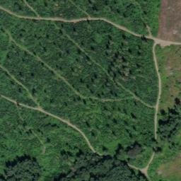 Satellite imagery of R 67 — NGS SX0846 — King County, US, US