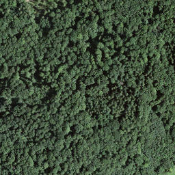 Satellite imagery of B.79, CH