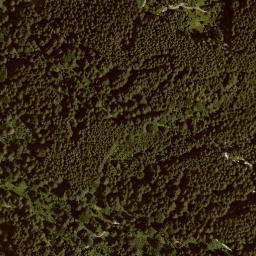 Satellite imagery of Buchbühl, DE