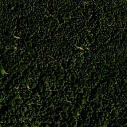 Satellite imagery of Rautbergkopf, DE