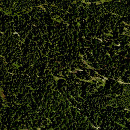 Satellite imagery of Zwölferköpfl, DE