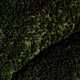 Satellite imagery of Staffel, DE