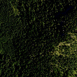 Satellite imagery of Niederskopf, DE