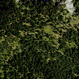Satellite imagery of Niederskopf, DE