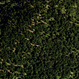 Satellite imagery of Falkenberg, DE