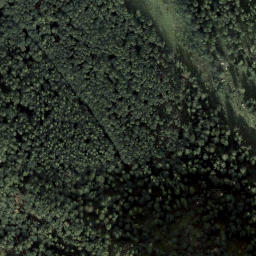 Satellite imagery of Dirndl, AT