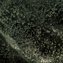 Satellite imagery of Dirndl, AT