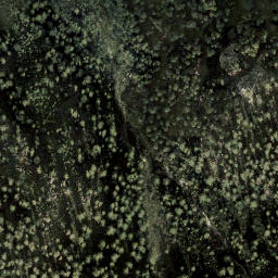 Satellite imagery of Dirndl, AT