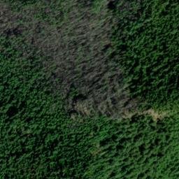 Satellite imagery of Jefferson Ridge, US