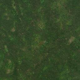 Satellite imagery of Collier Bay Hill, CA