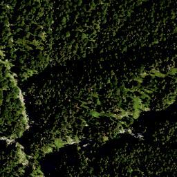 Satellite imagery of Rautbergkopf, DE