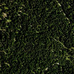 Satellite imagery of Rautbergkopf, DE