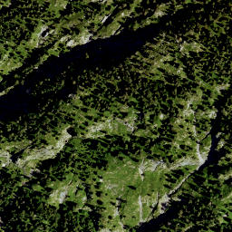 Satellite imagery of Hirschhörnl, DE