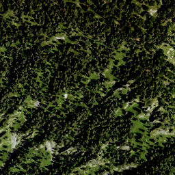 Satellite imagery of Hirschhörnl, DE