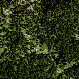 Satellite imagery of Hirschhörnl, DE