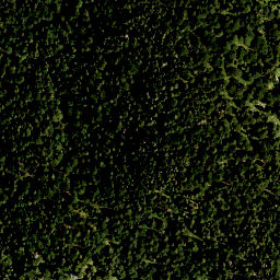 Satellite imagery of Niederskopf, DE