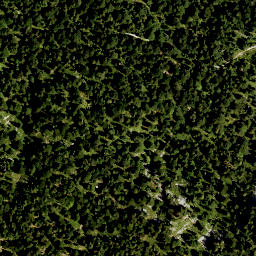 Satellite imagery of Niederskopf, DE