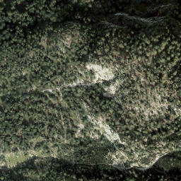 Satellite imagery of Dirndl, AT