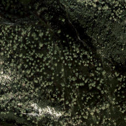 Satellite imagery of Dirndl, AT