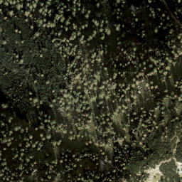 Satellite imagery of Dirndl, AT