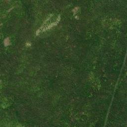 Satellite imagery of Collier Bay Hill, CA