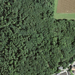 Satellite imagery of Grenzstein 113, CH