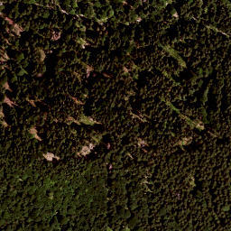 Satellite imagery of Rosseck, DE