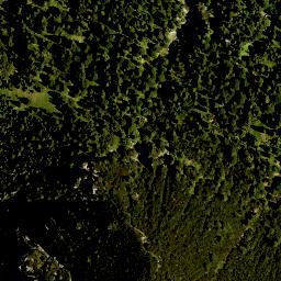 Satellite imagery of Zwölferköpfl, DE