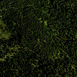 Satellite imagery of Spitzberg, DE