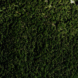 Satellite imagery of Hirschhörnl, DE