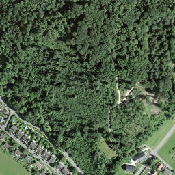 Satellite imagery of Grenzstein 113, CH
