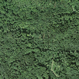 Satellite imagery of Honegg, CH