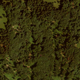 Satellite imagery of Thalerhöhe, DE