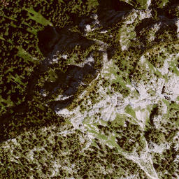 Satellite imagery of Schönleitenschrofen, DE