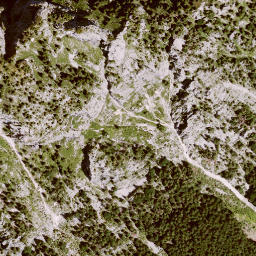 Satellite imagery of Schönleitenschrofen, DE