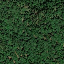 Satellite imagery of Mühlberg, DE