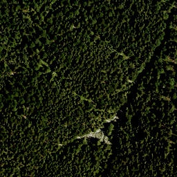 Satellite imagery of Plattlaine, DE