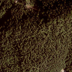 Satellite imagery of Larchberg, AT