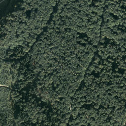 Satellite imagery of Pass Lueg, AT