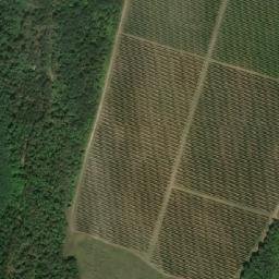 Satellite imagery of survey_point, HU