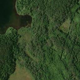 Satellite imagery of Skinners Tolt, CA