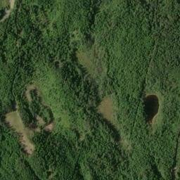 Satellite imagery of Skinners Tolt, CA